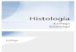 Histologia del Esofago  y Estomago
