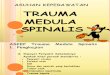 Trauma Medula Spinalis