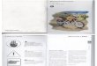 Manual Instrucciones BMW F 650 GS y Dakar