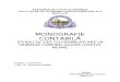 Monografie Contabila Primaria Comunei Agapia Judetul Neamt