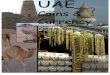 UAE Currency Workbook