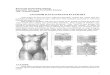 Anatomi Dan Patologi Payudara2