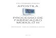 APOSTILA PROCESSO FABRICAÇÃO - MODULO III