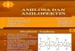 Amilosa Dan Amilopektin