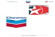 54823717 Chevron or CALTEX Report