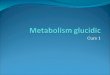 Metabolism Glucidic 1
