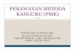 Perawatan Metoda Kanguru (Pmk), Pld 17 Julx