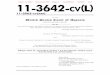 Kachalsky  v Cacace (NY) - CA2 Plaintiffs-Apellants-Cross-Apelless Opening Brief