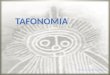TAFONOMIA (OSTEOLOGIA)