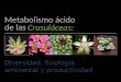 Metabolismo ácido de las crasulaceas (CAM)