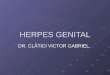 02 Herpes Genital