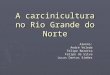 A Carcinicultura No Rio Grande Do Norte