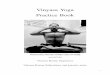 VINYASA KRAMA YOGA practice book - Anthony Grim Hall