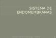 Aula 2 - Sistema de Endomembranas