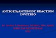 ANTIGEN Antibody Reaksi