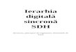 Ierarhia Digitala Sincrona - SDH