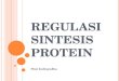 regulasi sintesis protein