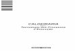 CALDEIRARIA -Tecnologia dos Processos e Execução