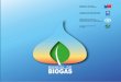 Manual de Biogás Gov