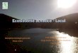 Ecosistem Acvatic Lacul