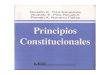 Principios Constitucionales - Rodolfo e. Piza Escalante