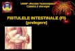 Fistule intestinale