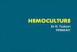 Hemo Culture