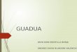 GUADUA (4).pptx