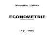 Econometrie George Coman