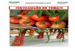 99034950 Fertilizacao Do Tomate