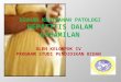 Presentasi Hepatitis Dalam Kehamilan new.pptx