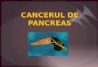 Cancerul de Pancreas