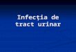 Curs 3- Infectii Urinare