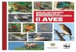 Aves migratorias Colombia.pdf