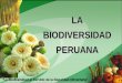 La biodiversidad peruana