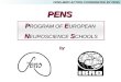 PENS or Program of European Neuroscience Schools