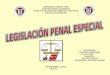 Legislación penal especial mapa conceptual