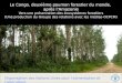 Préserver les écosystèmes forestiers au congo
