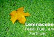 Lemnaceae: Feed, Fuel, Fertilizer