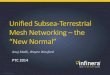 Unified subsea terrestrial mesh networking