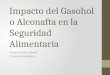 Gasohol o Alconafta y su Impacto en la Seguridad Alimentaria