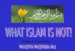 What  Islam Is  Not