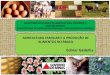 Enfisa 2014 - Agricultura Familiar e a Produ§£o de Alimentos no Brasil