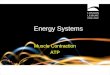 Energy systems main lesson