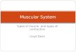 Muscular contraction and muscle types