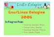 Proyecto Linex 2006