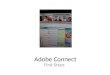 Adobe Connect Guide