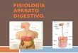 Fisiologia de aparato digestivo