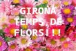Girona temps de flors!!!