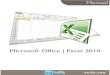 Manual microsoft-office-excel-2010